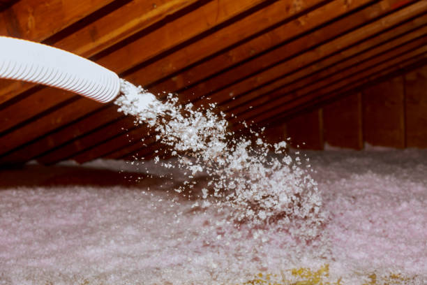Best DIY Insulation Kits and Guidance in Addis, LA