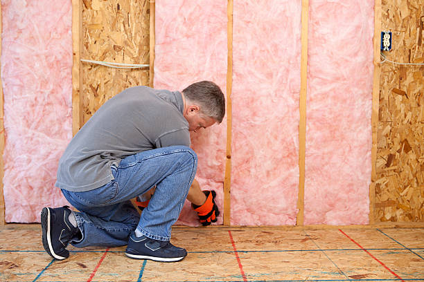 Best Spray Foam Insulation in Addis, LA